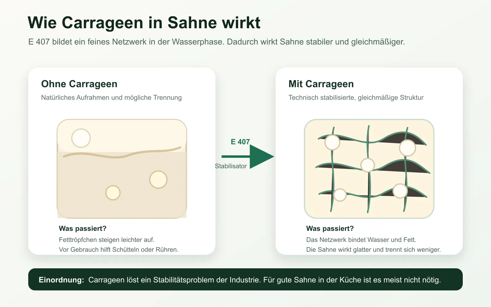 Infografik: Sahne ohne Carrageen trennt sich natürlicher, Sahne mit Carrageen wird durch ein Netzwerk stabilisiert