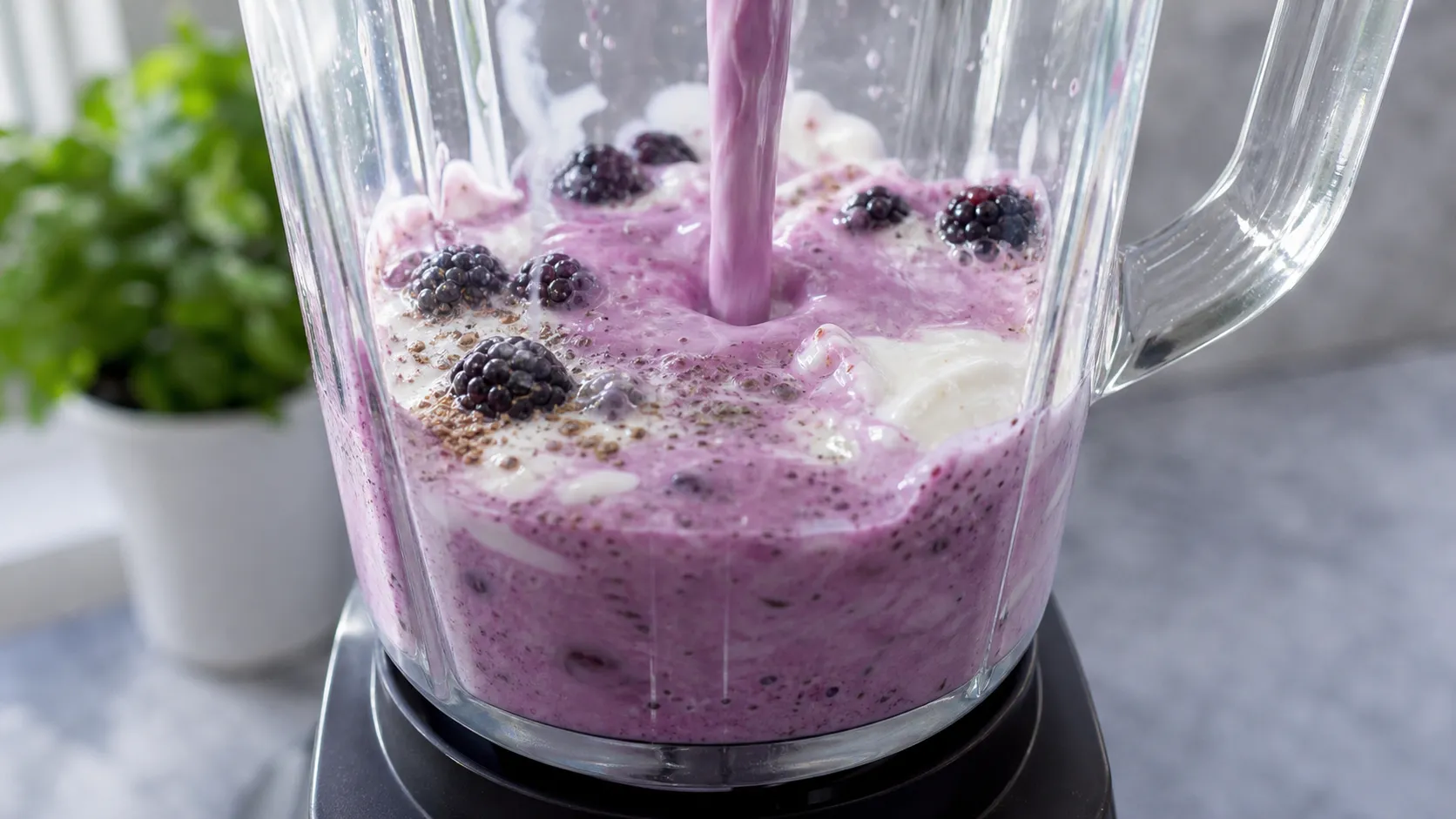 Brombeeren und Buttermilch werden im Mixer zu einem cremigen violetten Shake püriert
