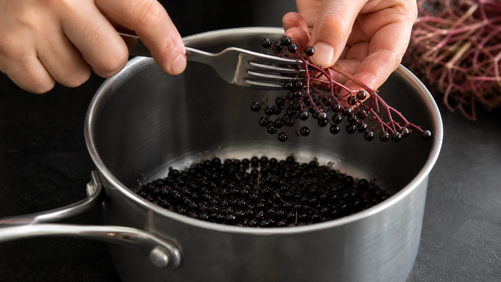 Holunderbeeren werden mit einer Gabel von den Dolden abgestreift und in einem Topf aufgekocht